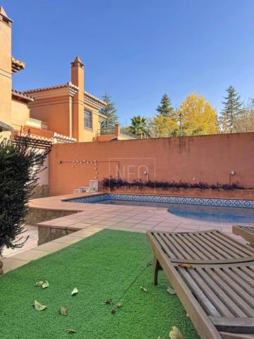 PAREADO EN BRASIL, LA ZUBIA photo 0