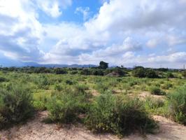 Terreno en Elche, zona Llano de San Jose. photo 0