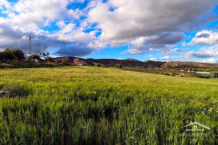 Parcela con almacén de aperos photo 0
