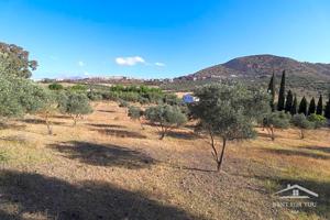 Finca en venta photo 0
