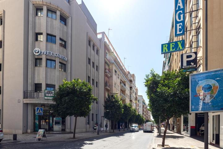 En pleno centro photo 0