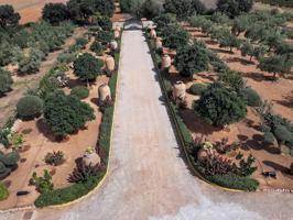 Finca rústica con explotación agrícola y licencia vacacional photo 0