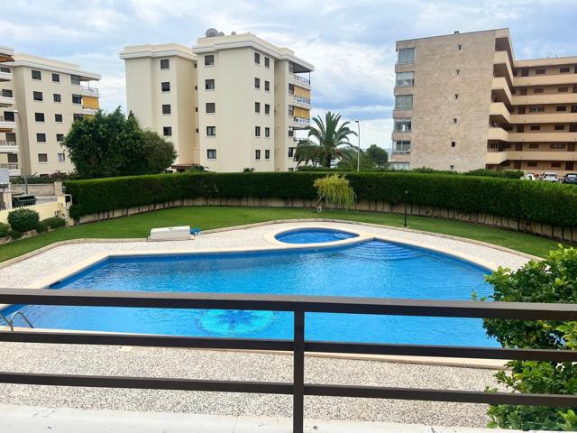 Piso de lujo recién reformado con gran terraza en Portals Nous photo 0