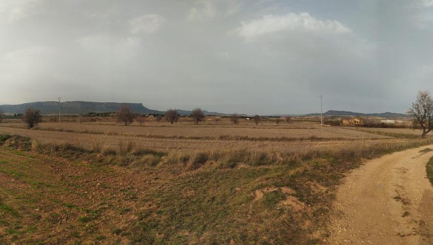 GRAN OCASION-PARCELA RUSTICA DE 40.000 METROS MUY CERCA DE ALMANSA photo 0