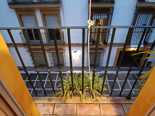 COQUETO APARTAMENTO EN PLENO TRIANA photo 0