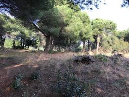 TERRENO EN CANET DE MAR photo 0