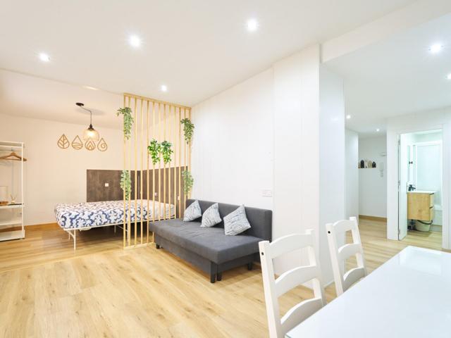 SE VENDE ESTUDIO REFORMADO PARA ENTRAR A VIVIR EN PLENO CENTRO JUNTO A LA SEO Y LA PLAZA DEL PILAR. photo 0