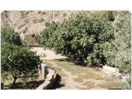 Finca de naranjos ecológicos en Benahadux photo 0