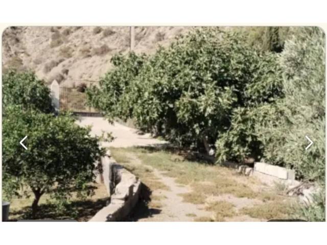 Finca de naranjos ecológicos en Benahadux photo 0