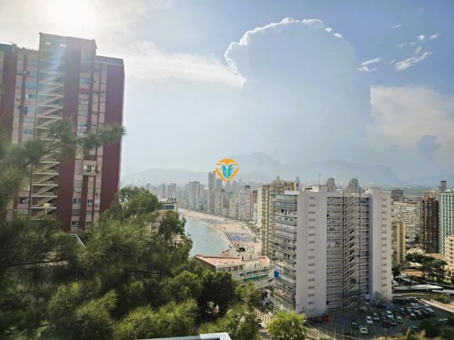 APARTAMENTO CON VISTAS AL MAR Y A LA MONTAÑA!!! photo 0