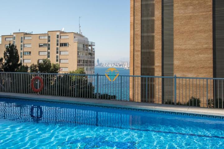 ESTUDIO EN LA ZONA DE SIERRA HELADA photo 0