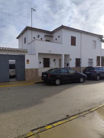PAREADO EN ZALEA photo 0