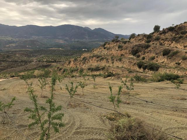 Agrícola En venta en Restabal, El Valle photo 0