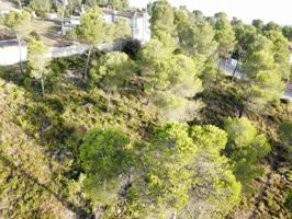 Terreno Urbanizable En venta en Les Pinedes De L´armengol, La Torre De Claramunt photo 0