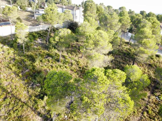 Terreno Urbanizable En venta en Les Pinedes De L´armengol, La Torre De Claramunt photo 0