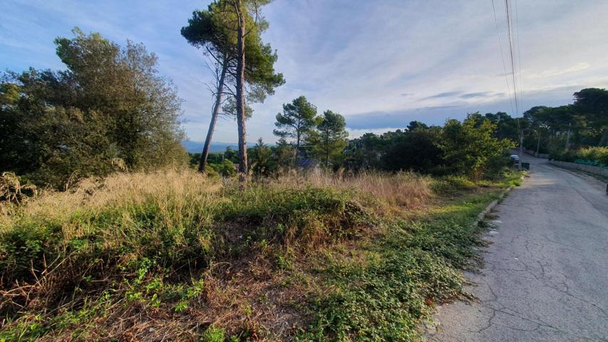 Terreno Urbanizable En venta en La Font Del Bosc, Mediona photo 0