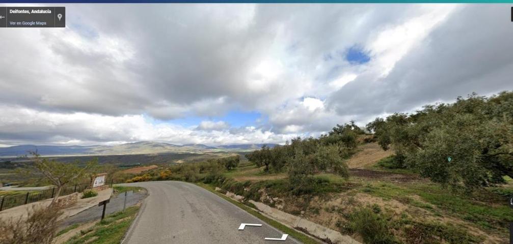 Terreno agrario en venta, Deifontes. photo 0