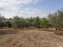 Venta de terreno en Gojar. photo 0