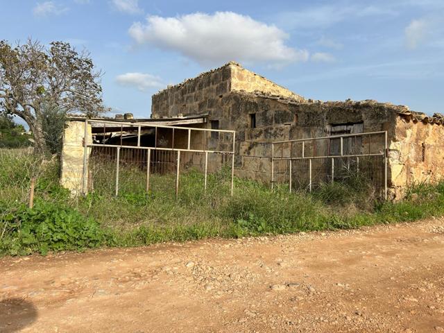 Casa Rústica pueblo de Llubí, photo 0