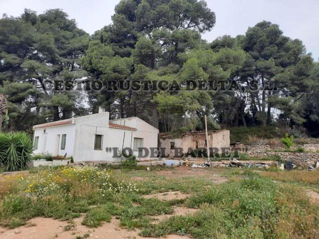 RÚSTICA DE REGADIÓ DE 11,37HA CON 648M2 EN CONSTRUCCIONES. photo 0