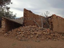 RÚSTICA SECANO OLIVOS DE 3,62HA EN PRODUCCIÓN CON CASA DE CAMPO A REFORMAR. photo 0