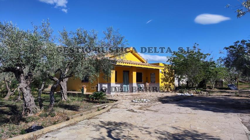 RÚSTICA DE REGADÍO CON CASA DE CAMPO, ALMACEN Y BALSA DE RIEGO. photo 0