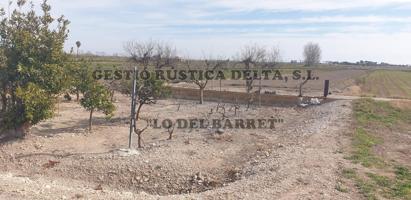 RÚSTICA DE REGADÍO DE 2.087M2 PARA HUERTA O FRUTALES. photo 0