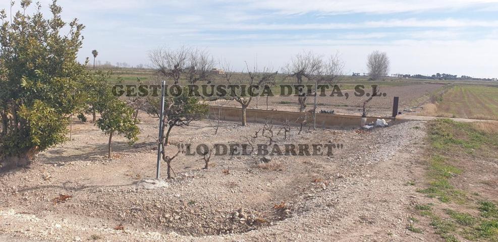 RÚSTICA DE REGADÍO DE 2.087M2 PARA HUERTA O FRUTALES. photo 0
