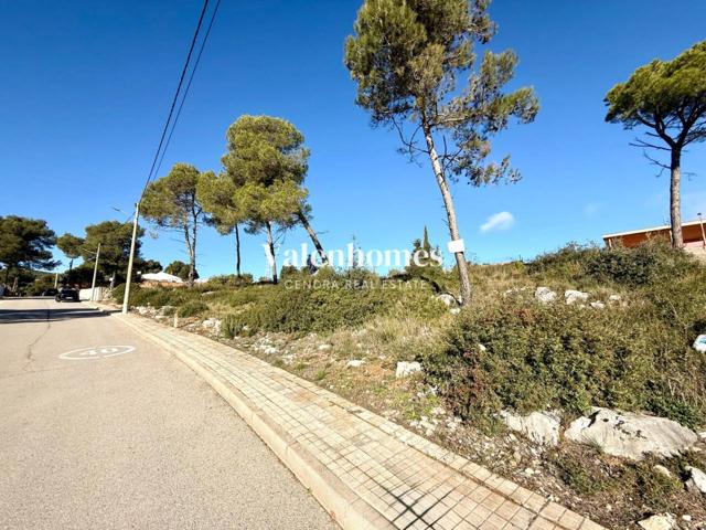 Parcela en venta en La Torre de Claramunt photo 0