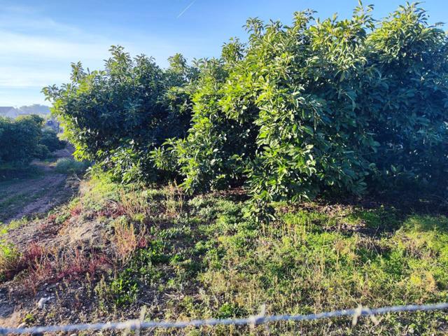 Venta de terreno en Teulada photo 0