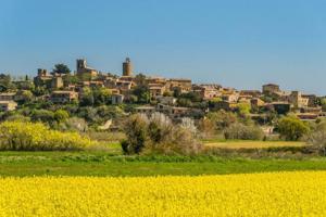 Casa de pueblo de piedra restaurada muy cerca del centro histórico medieval de  Pals (Costa Brava) photo 0