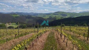 Se vende finca con explotación ganadera en Bárcena de Cicero photo 0