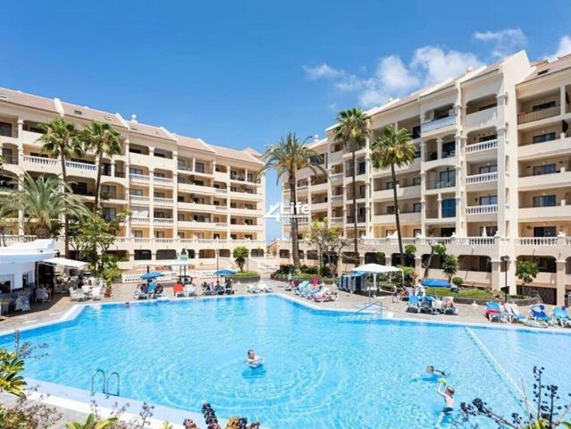 Estudio en venta en Los Cristianos de 35 m2 photo 0