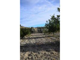 PARCELA RUSTICA CON VIVIENDA UNIFAMILIAR photo 0