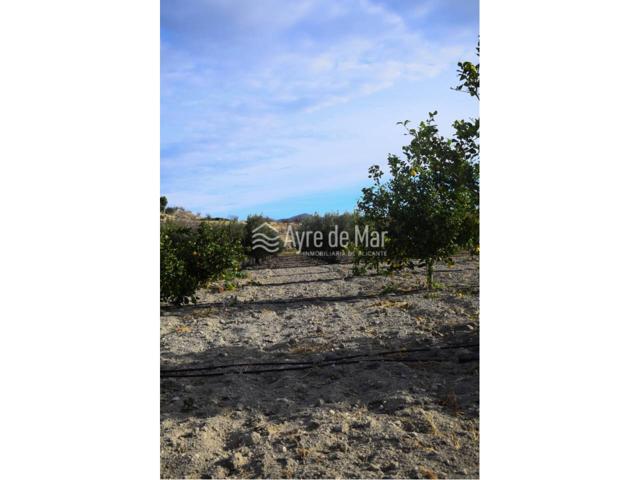 PARCELA RUSTICA CON VIVIENDA UNIFAMILIAR photo 0