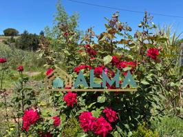 Finca rustica de 1100m2 en los Barrios photo 0