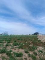 Terreno Urbanizable En venta en Los Palacios Y Villafranca, Los Palacios Y Villafranca photo 0