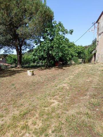 Masia - Sant Celoni photo 0