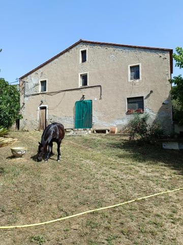 Masia - Sant Celoni photo 0