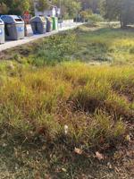 Suelo residencial - Gualba photo 0