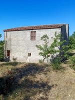 Masia - Sant Feliu de Buixalleu photo 0