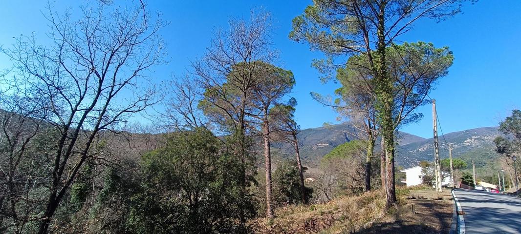 Suelo residencial - Gualba photo 0