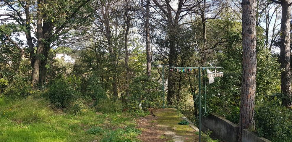 Suelo urbano - Riells photo 0