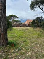 Suelo residencial - Riells photo 0