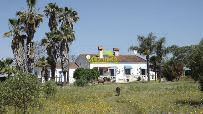 FINCA RUSTICA CON VIVIENDAS (GIBRALEON) photo 0