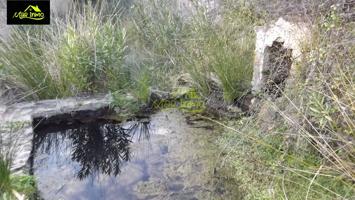 FINCA RUSTICA DE 22 Ha. en La Sierra de Huelva (Almonaster La Real) photo 0