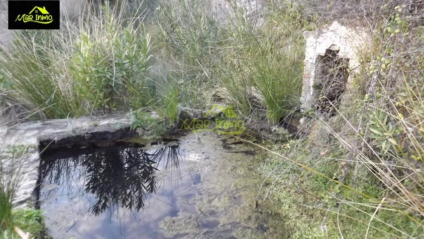 FINCA RUSTICA DE 22 Ha. en La Sierra de Huelva (Almonaster La Real) photo 0
