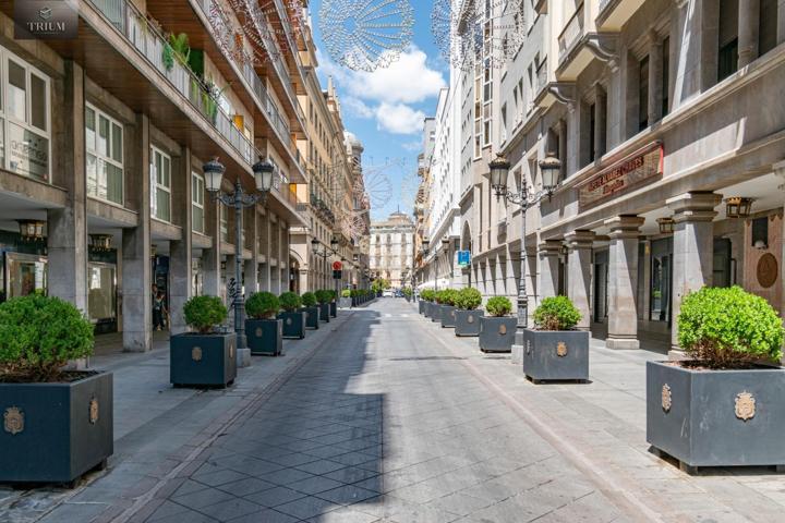 APARTAMENTO EN EL CENTRO DE GRANADA-JUNTO CALLE GANIVET photo 0