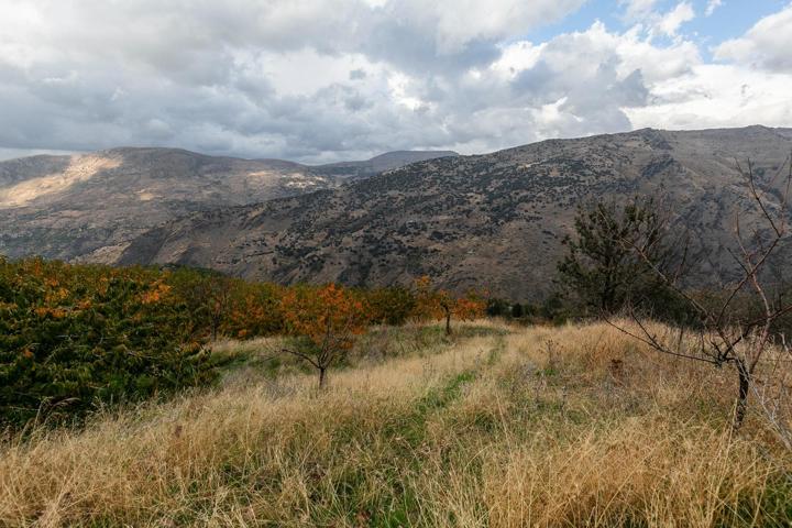 OPORTUNIDAD UNICA EN GUEJAR SIERRA!!!! photo 0