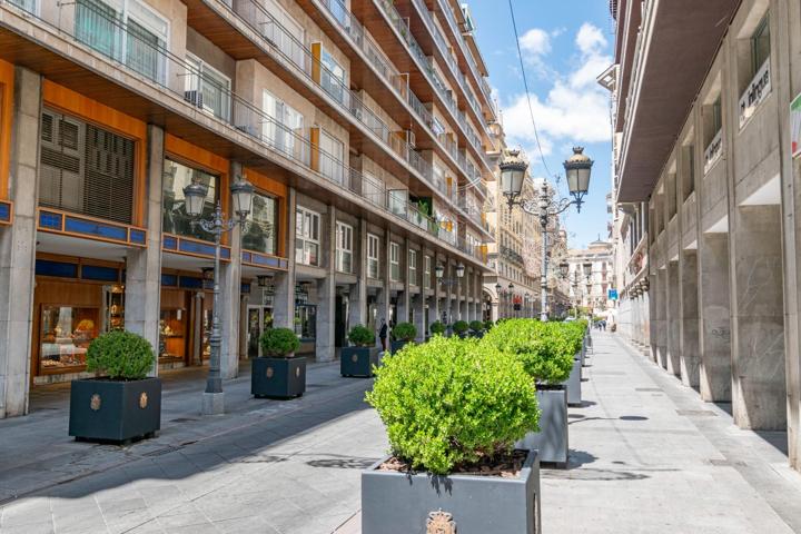 Bonito piso en el centro de Granada, junto a calle Ganivet. photo 0